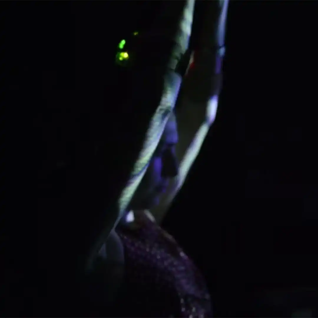 Presentación en el Centro Cultural de España en Santiago de Chile.Dec-01-2015